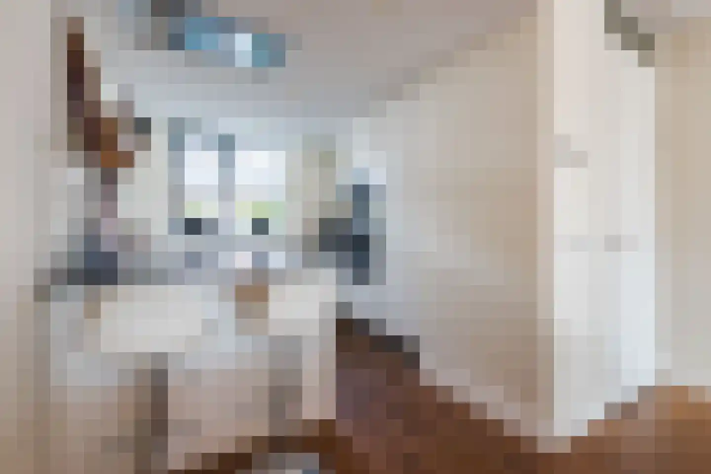 Ridderzwam 152 Apeldoorn thumbnail 5
