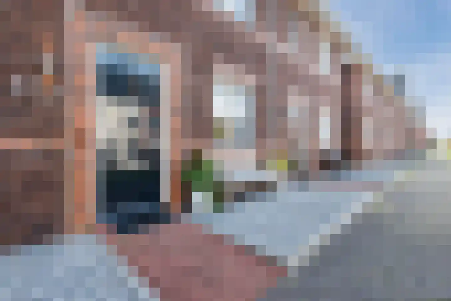 Ridderzwam 152 Apeldoorn thumbnail 60