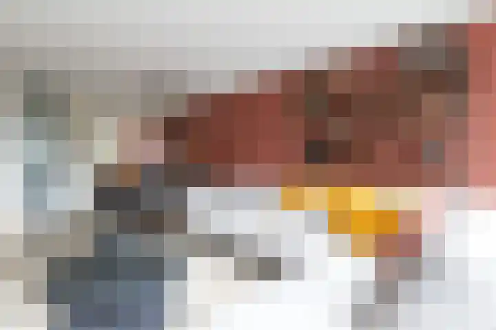 Ridderzwam 158 Apeldoorn thumbnail 11
