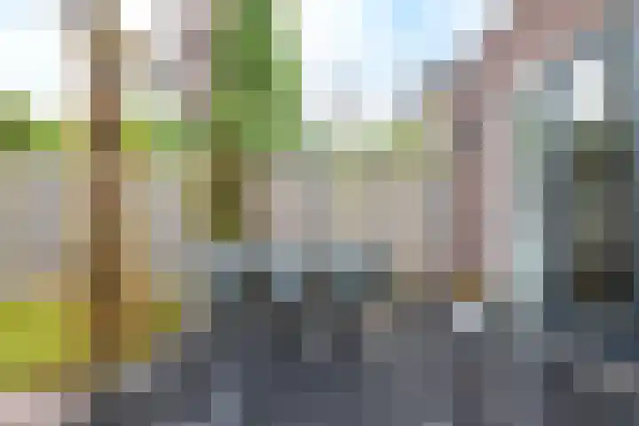 Ridderzwam 158 Apeldoorn thumbnail 31