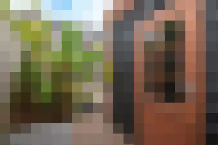 Ridderzwam 158 Apeldoorn thumbnail 34
