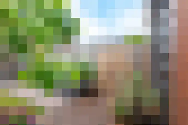 Ridderzwam 158 Apeldoorn thumbnail 35