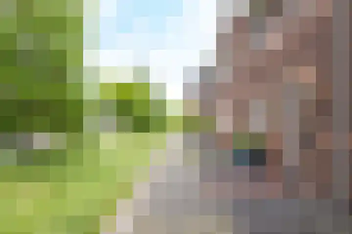 Ridderzwam 158 Apeldoorn thumbnail 5
