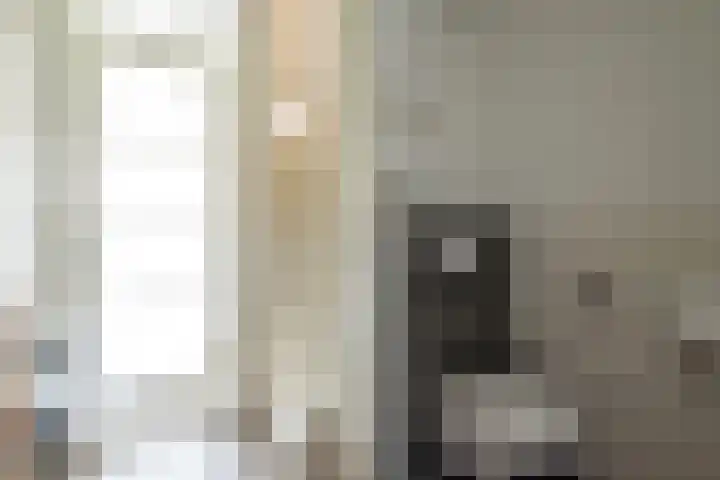 Ridderzwam 158 Apeldoorn thumbnail 7