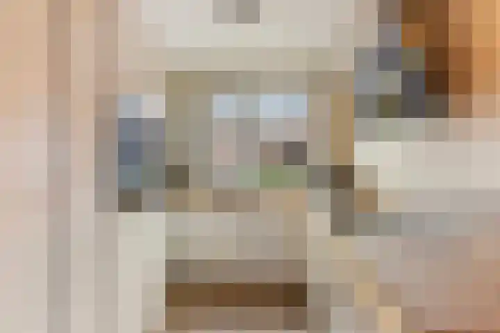 Ridderzwam 173 Apeldoorn thumbnail 15