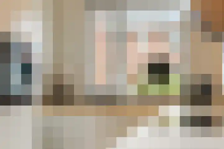 Ridderzwam 173 Apeldoorn thumbnail 16