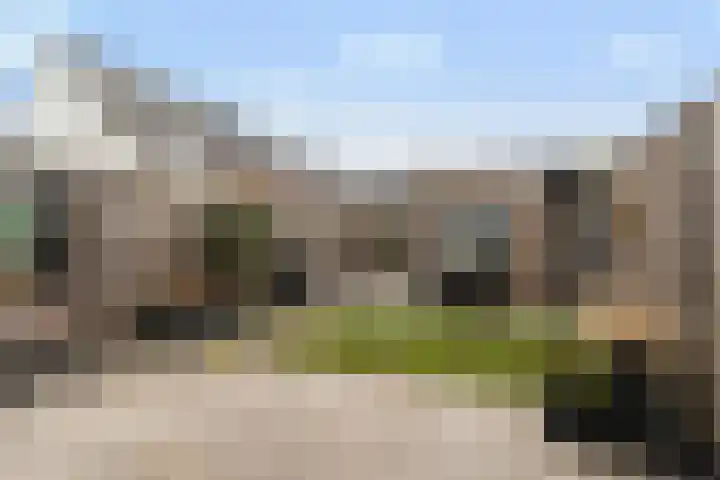 Ridderzwam 173 Apeldoorn thumbnail 18