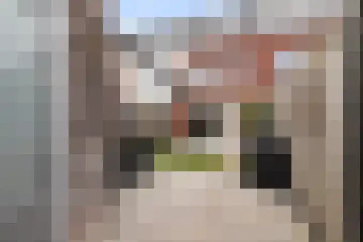 Ridderzwam 173 Apeldoorn thumbnail 19
