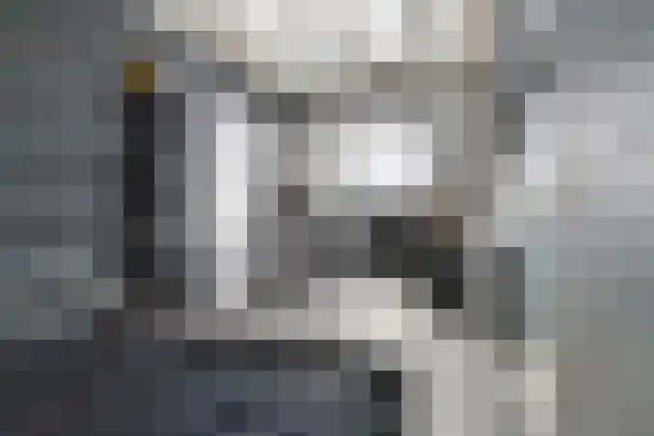 Ridderzwam 173 Apeldoorn thumbnail 30