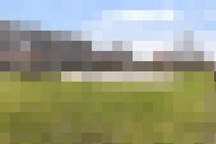 Ridderzwam 173 Apeldoorn thumbnail 31