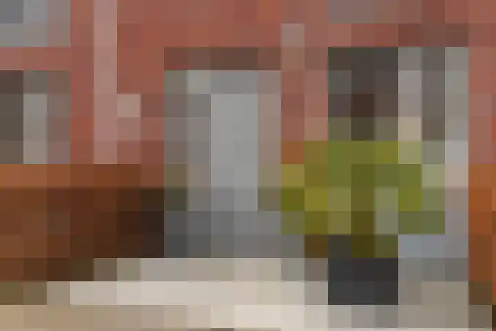 Ridderzwam 173 Apeldoorn thumbnail 4