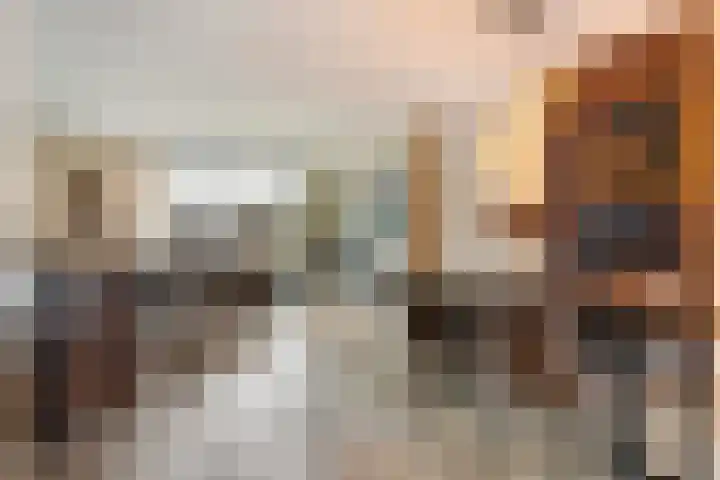 Ridderzwam 173 Apeldoorn thumbnail 8