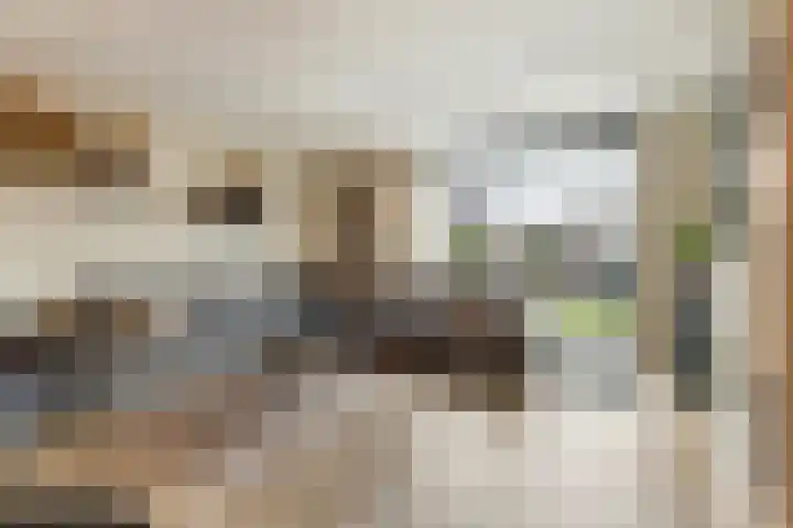 Ridderzwam 173 Apeldoorn thumbnail 9