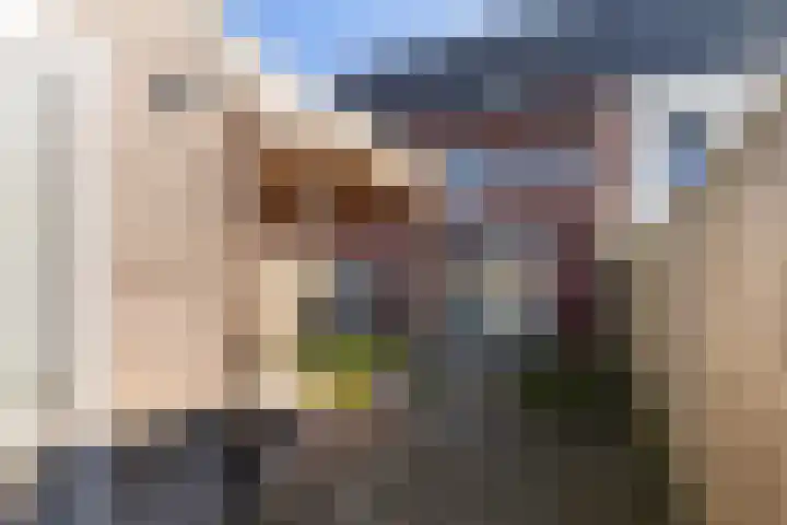 Ridderzwam 177 Apeldoorn thumbnail 17