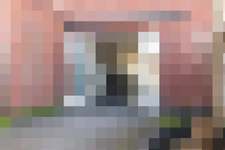 Ridderzwam 177 Apeldoorn thumbnail 18