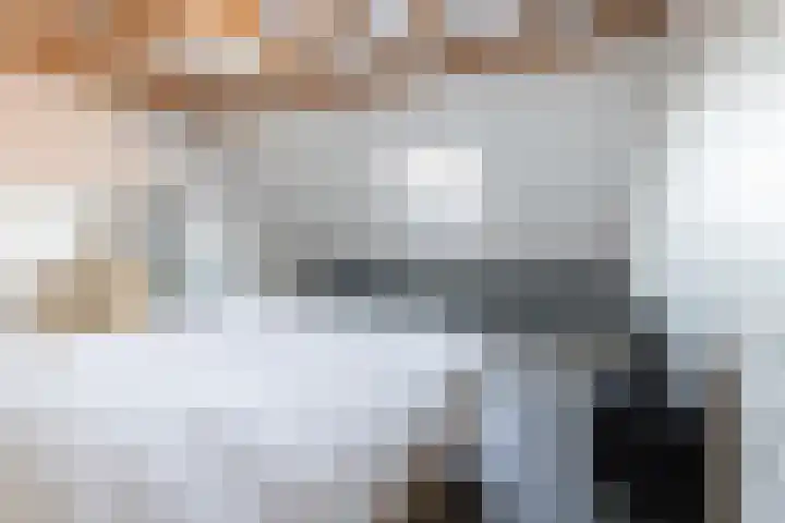Ridderzwam 177 Apeldoorn thumbnail 28