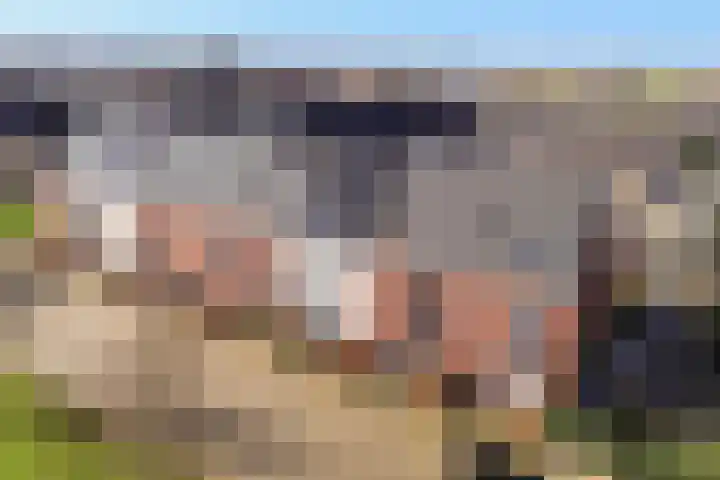 Ridderzwam 177 Apeldoorn thumbnail 32