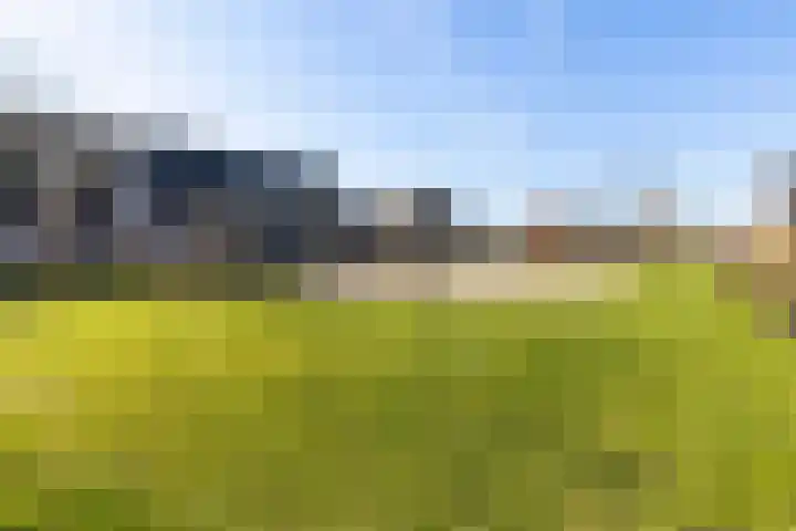 Ridderzwam 177 Apeldoorn thumbnail 39