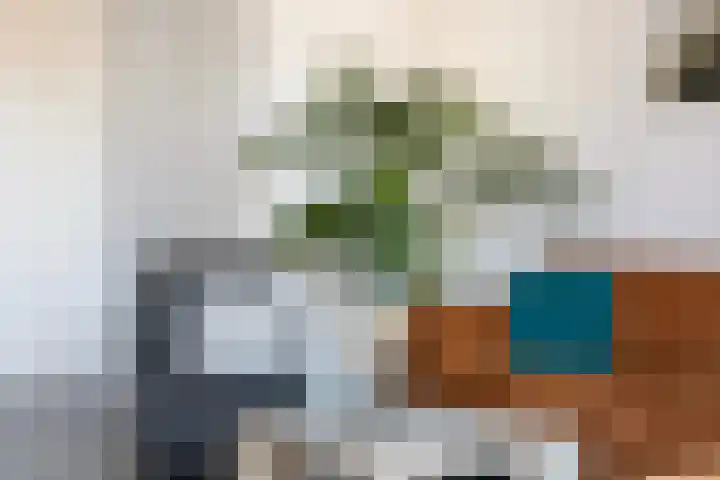 Ridderzwam 177 Apeldoorn thumbnail 9