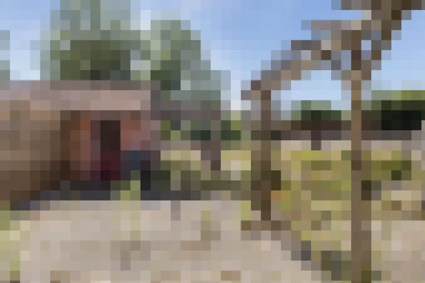 Ridenbergstraat 12 Farmsum thumbnail 16