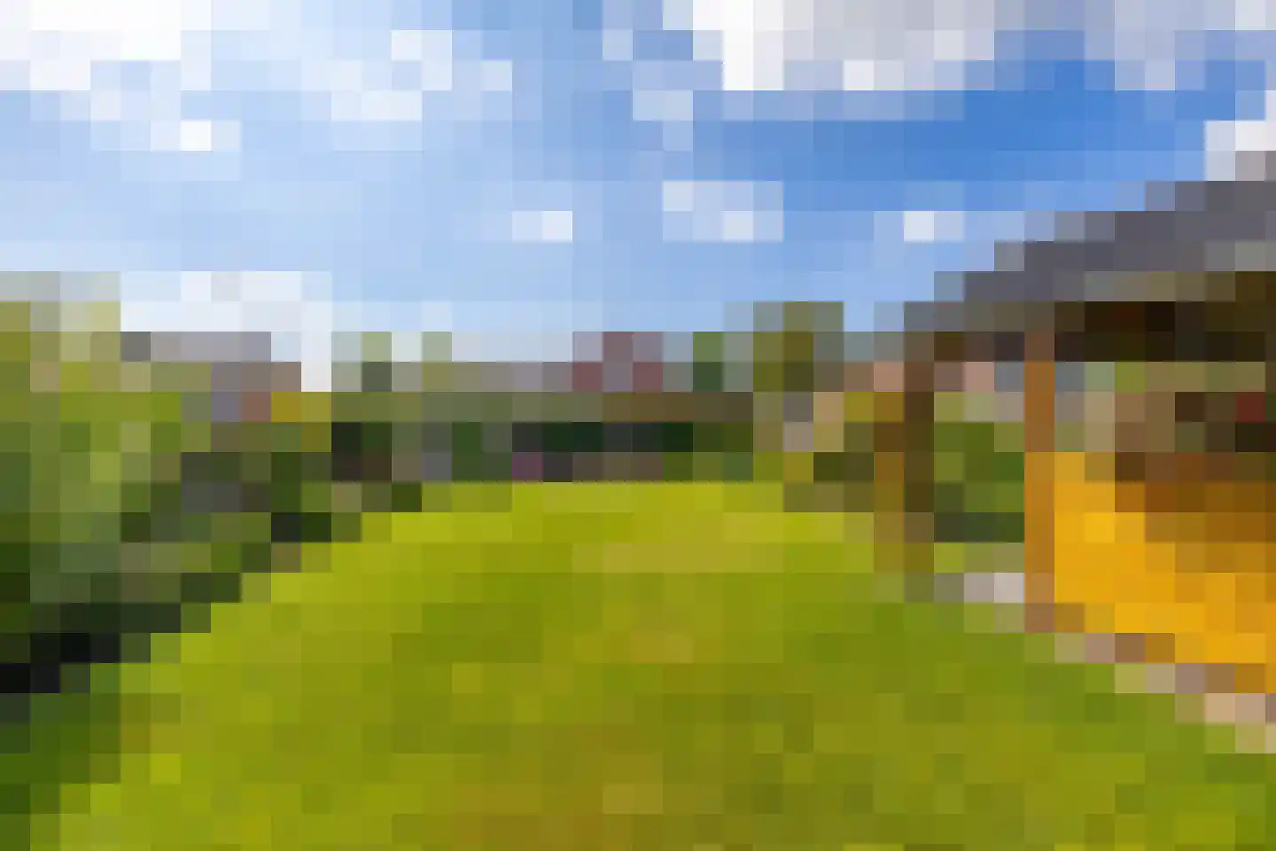 Ridenbergstraat 20 Farmsum thumbnail 39
