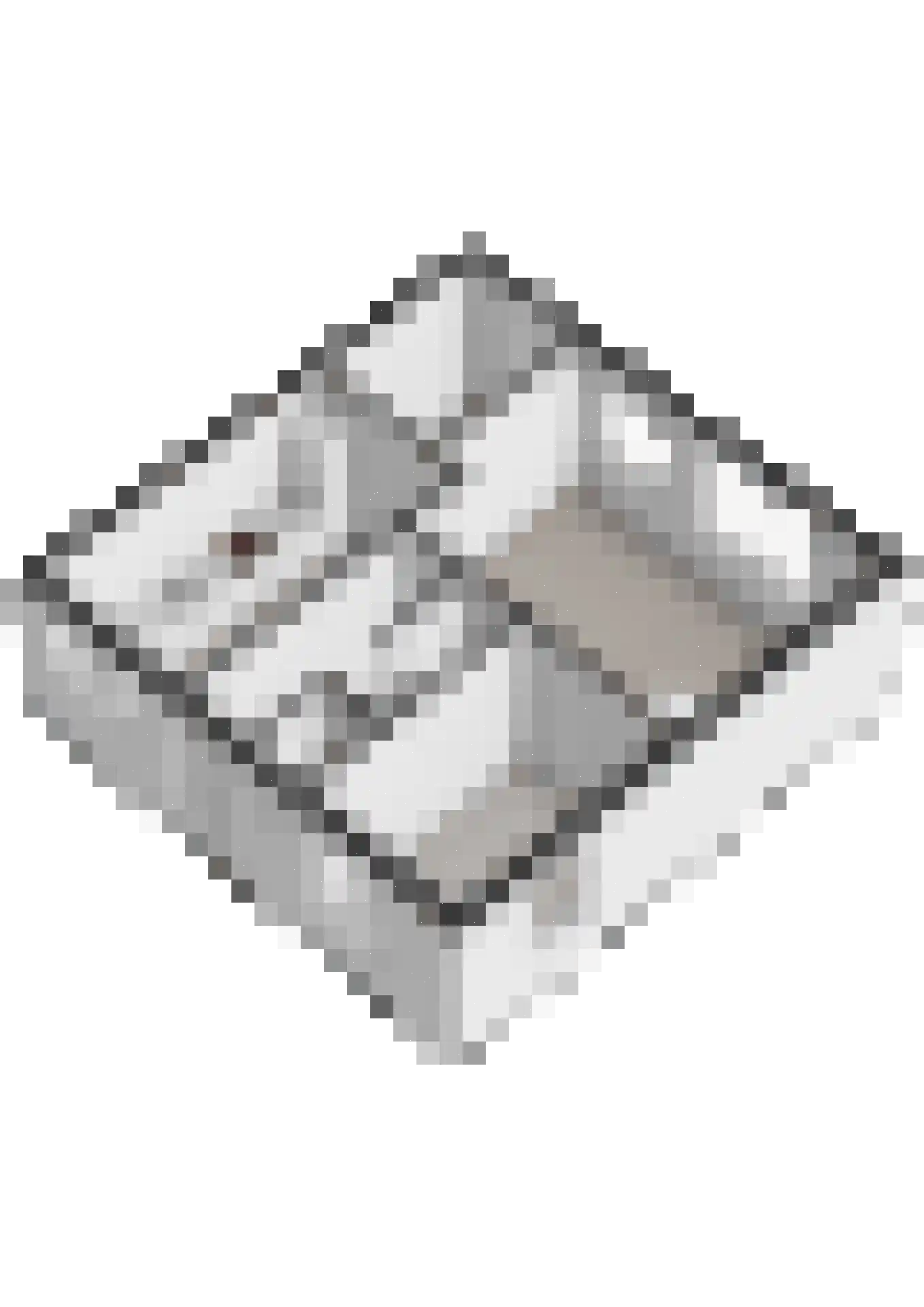 Ridenbergstraat 20 Farmsum thumbnail 67