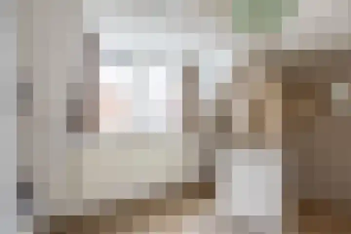 Ridenbergstraat 5 Farmsum thumbnail 25