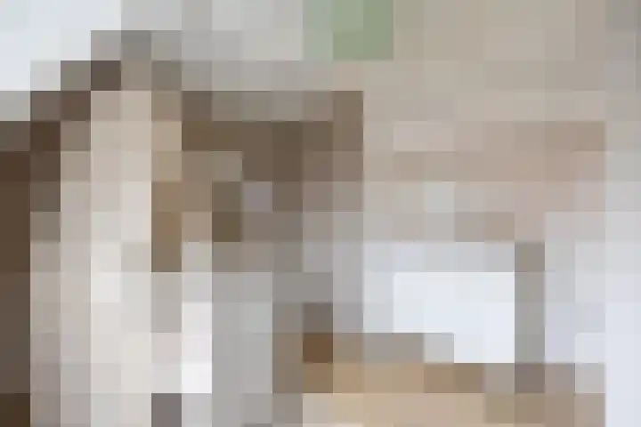 Ridenbergstraat 5 Farmsum thumbnail 26