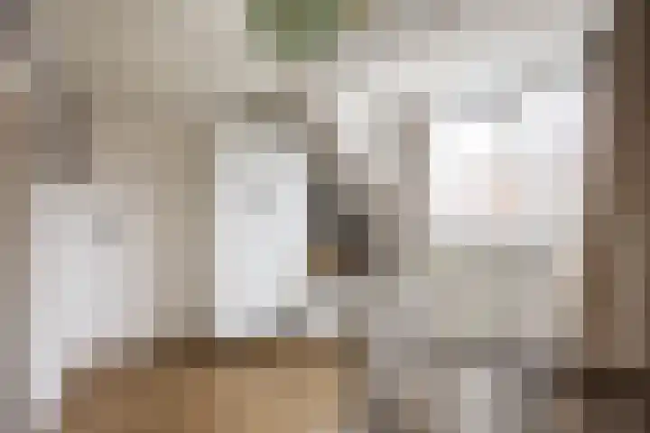 Ridenbergstraat 5 Farmsum thumbnail 27
