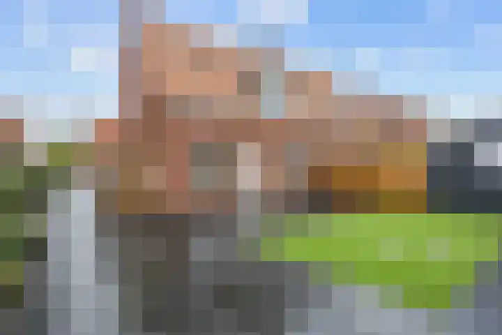 Ridenbergstraat 5 Farmsum thumbnail 47