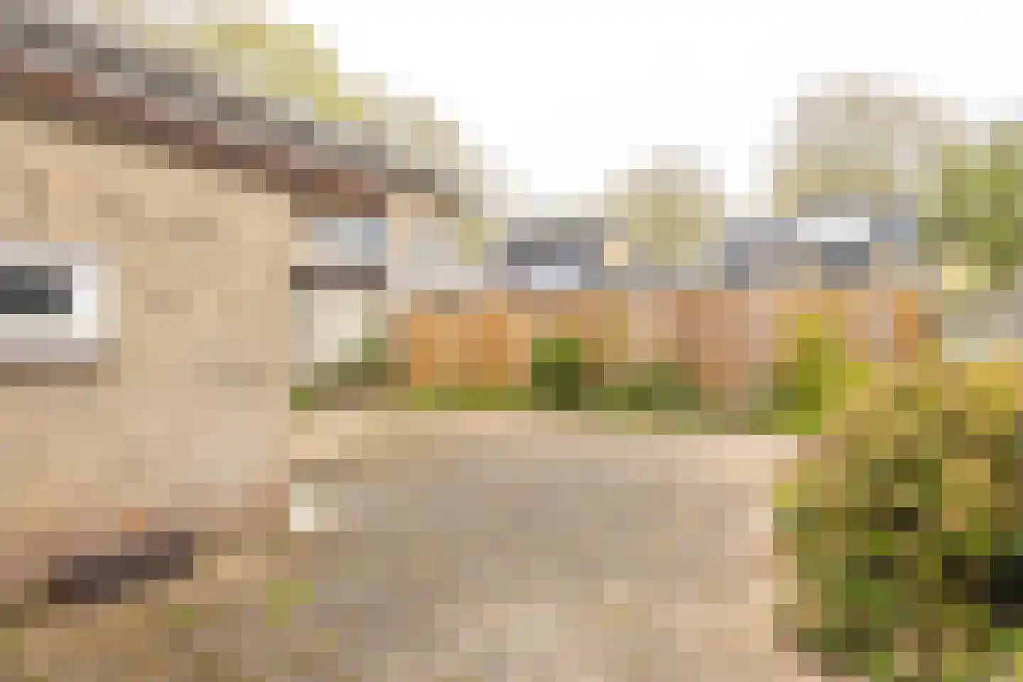 Ridgewaystraat 27 Sittard thumbnail 40