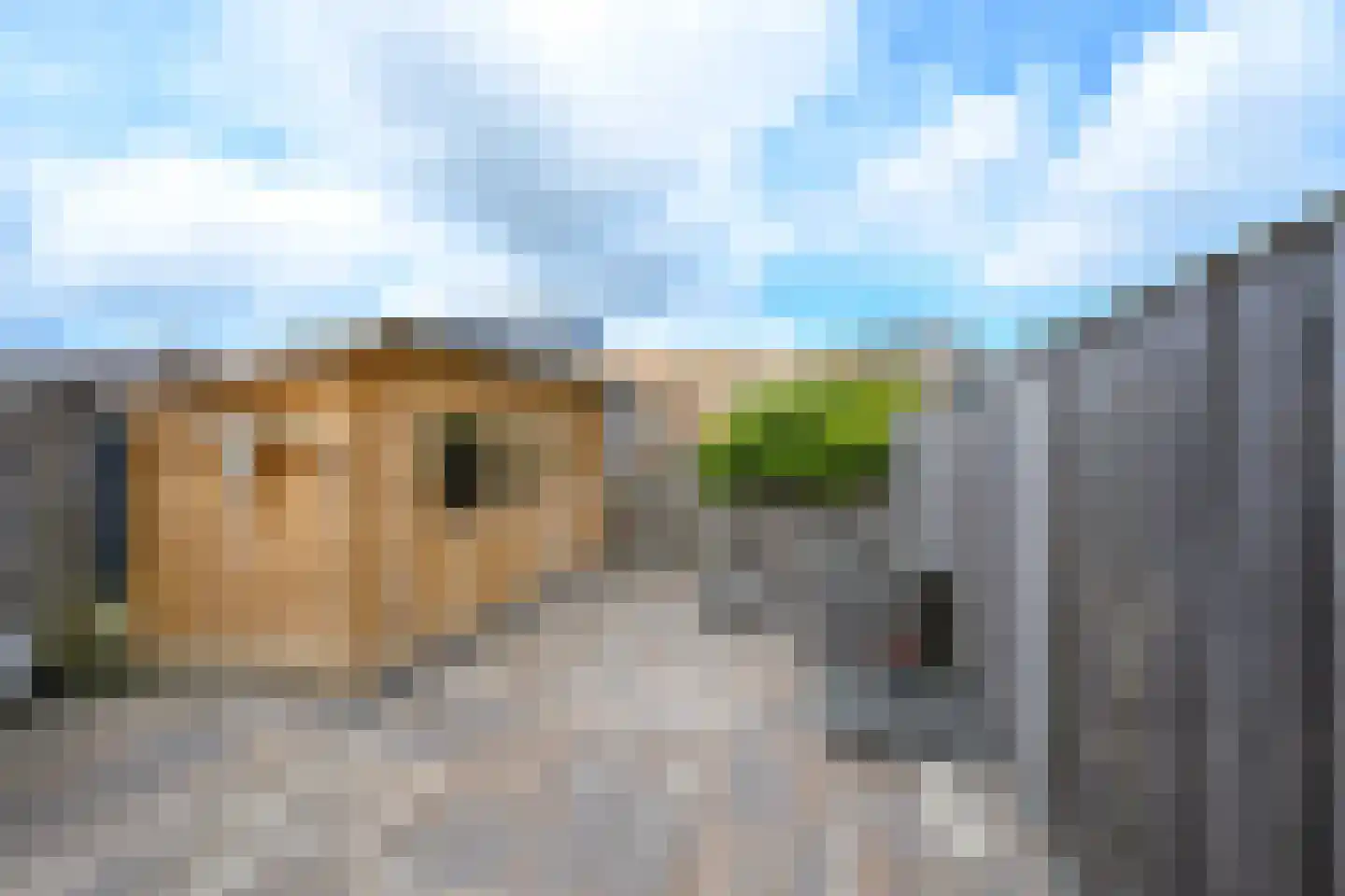 Rie Beisenherzland 5 Heerhugowaard thumbnail 11