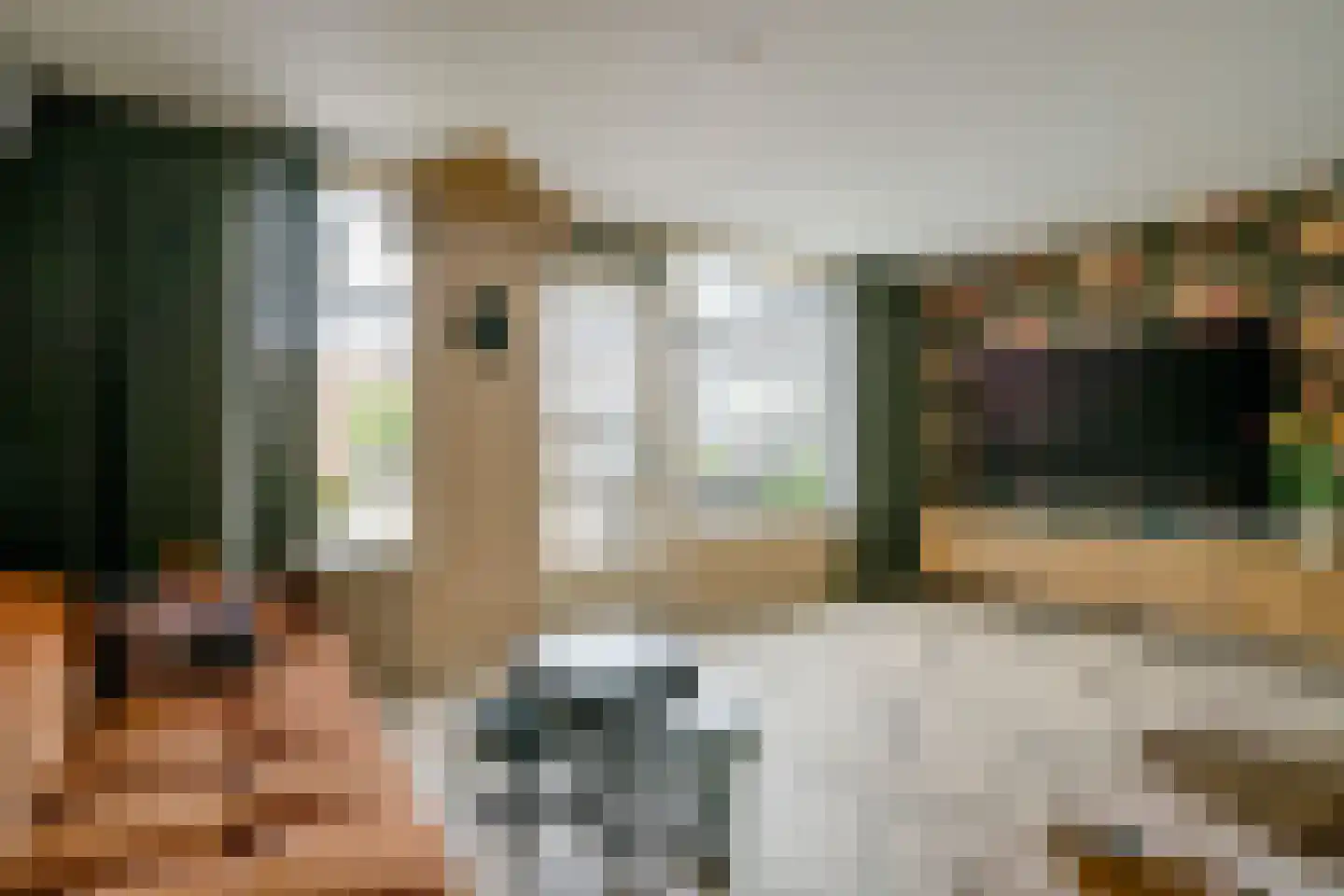 Rie Beisenherzland 5 Heerhugowaard thumbnail 5