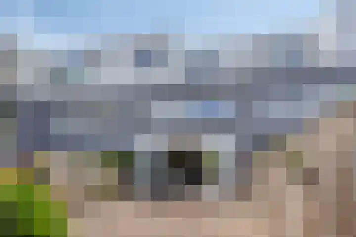 Rie Cramerlaan 3 Leiden thumbnail 10