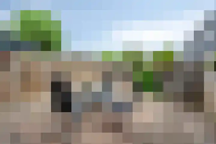 Rie Cramerlaan 3 Leiden thumbnail 12