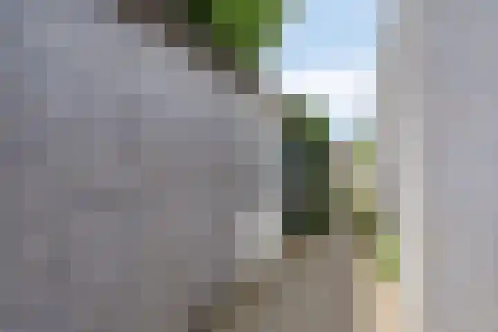 Rie Cramerlaan 3 Leiden thumbnail 13