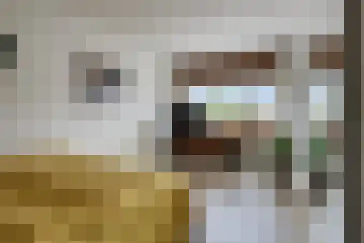 Rie Cramerlaan 3 Leiden thumbnail 16