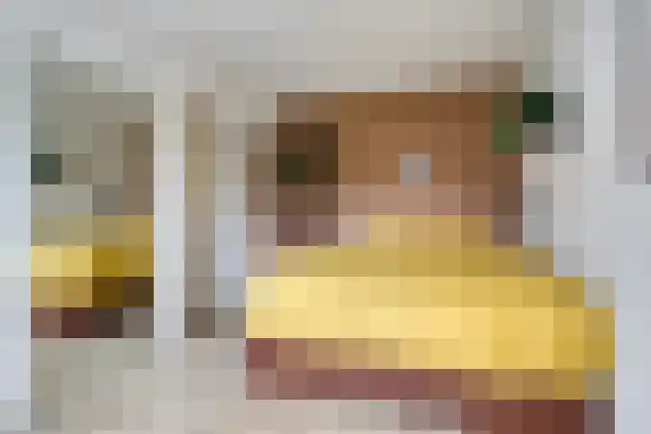 Rie Cramerlaan 3 Leiden thumbnail 17