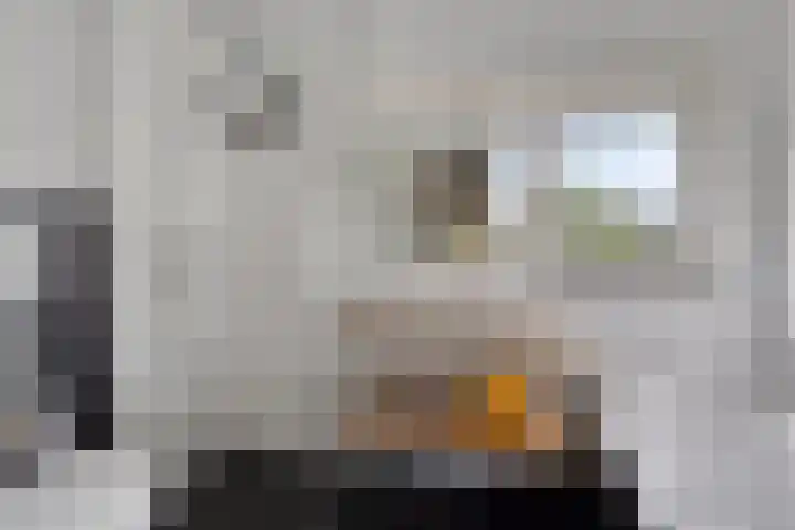 Rie Cramerlaan 3 Leiden thumbnail 18