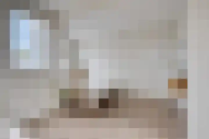 Rie Cramerlaan 3 Leiden thumbnail 26