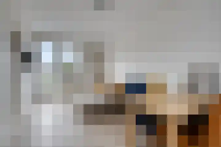 Rie Cramerlaan 3 Leiden thumbnail 29