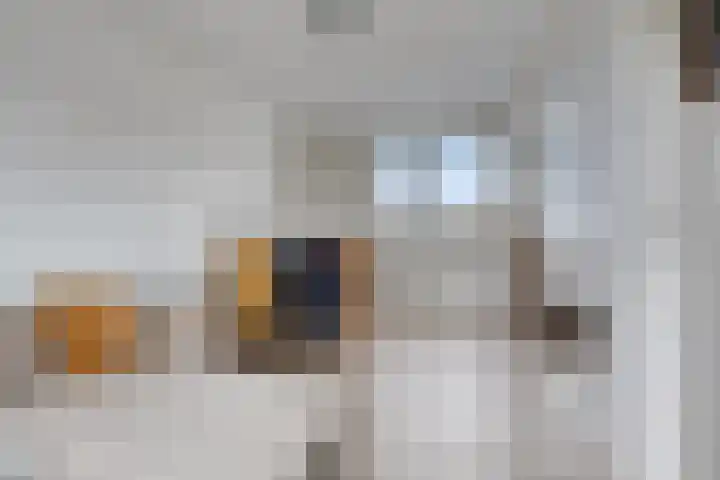 Rie Cramerlaan 3 Leiden thumbnail 30