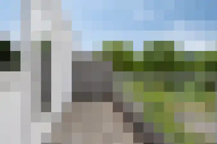 Rie Cramerlaan 3 Leiden thumbnail 31