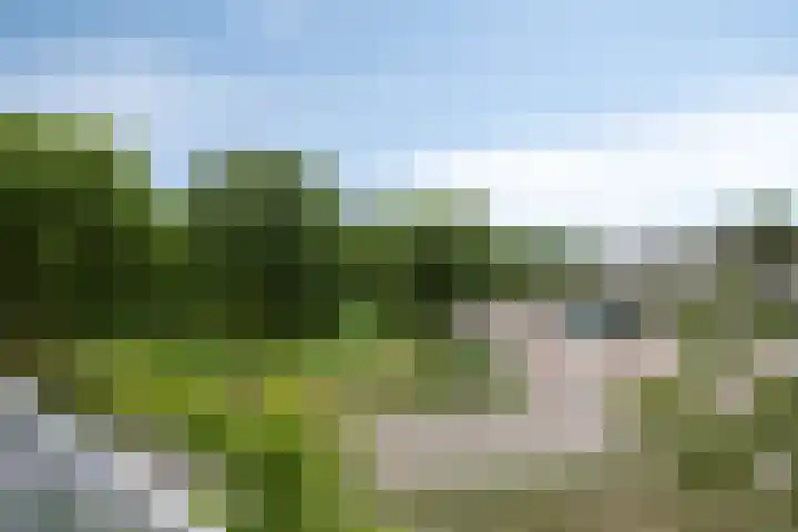 Rie Cramerlaan 3 Leiden thumbnail 32