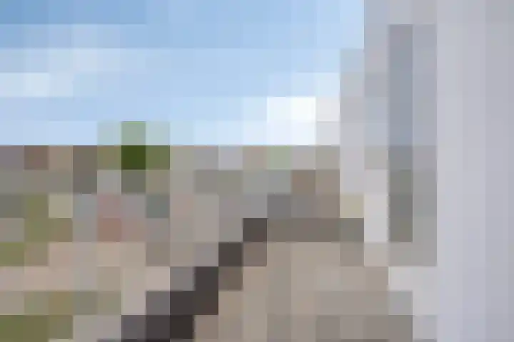 Rie Cramerlaan 3 Leiden thumbnail 33