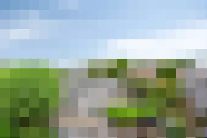 Rie Cramerlaan 3 Leiden thumbnail 36