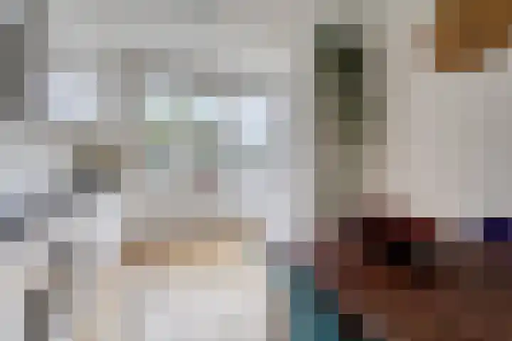 Rie Cramerlaan 3 Leiden thumbnail 5