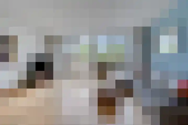 Rie Cramerlaan 3 Leiden thumbnail 7