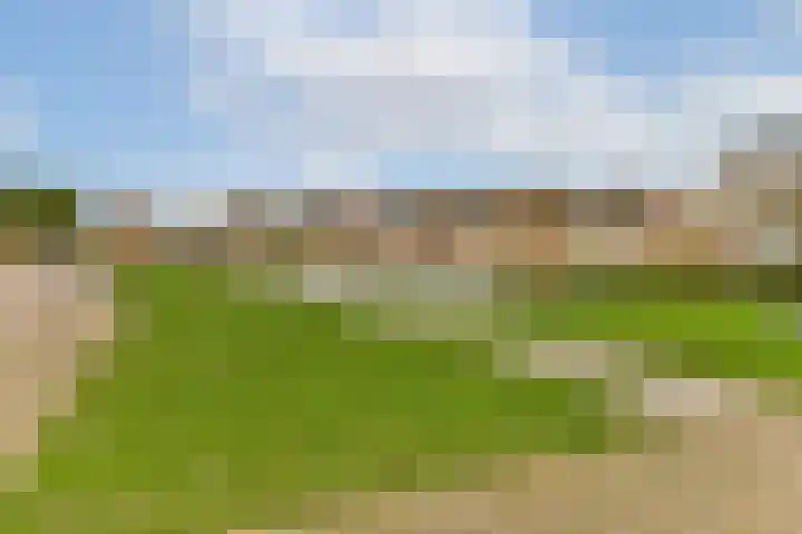 Rie Cramerplantsoen 29 Hoofddorp thumbnail 25