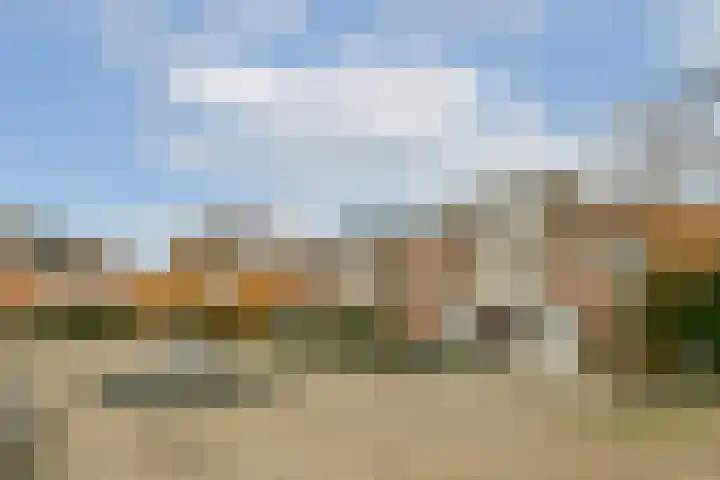 Rie Cramerplantsoen 29 Hoofddorp thumbnail 26